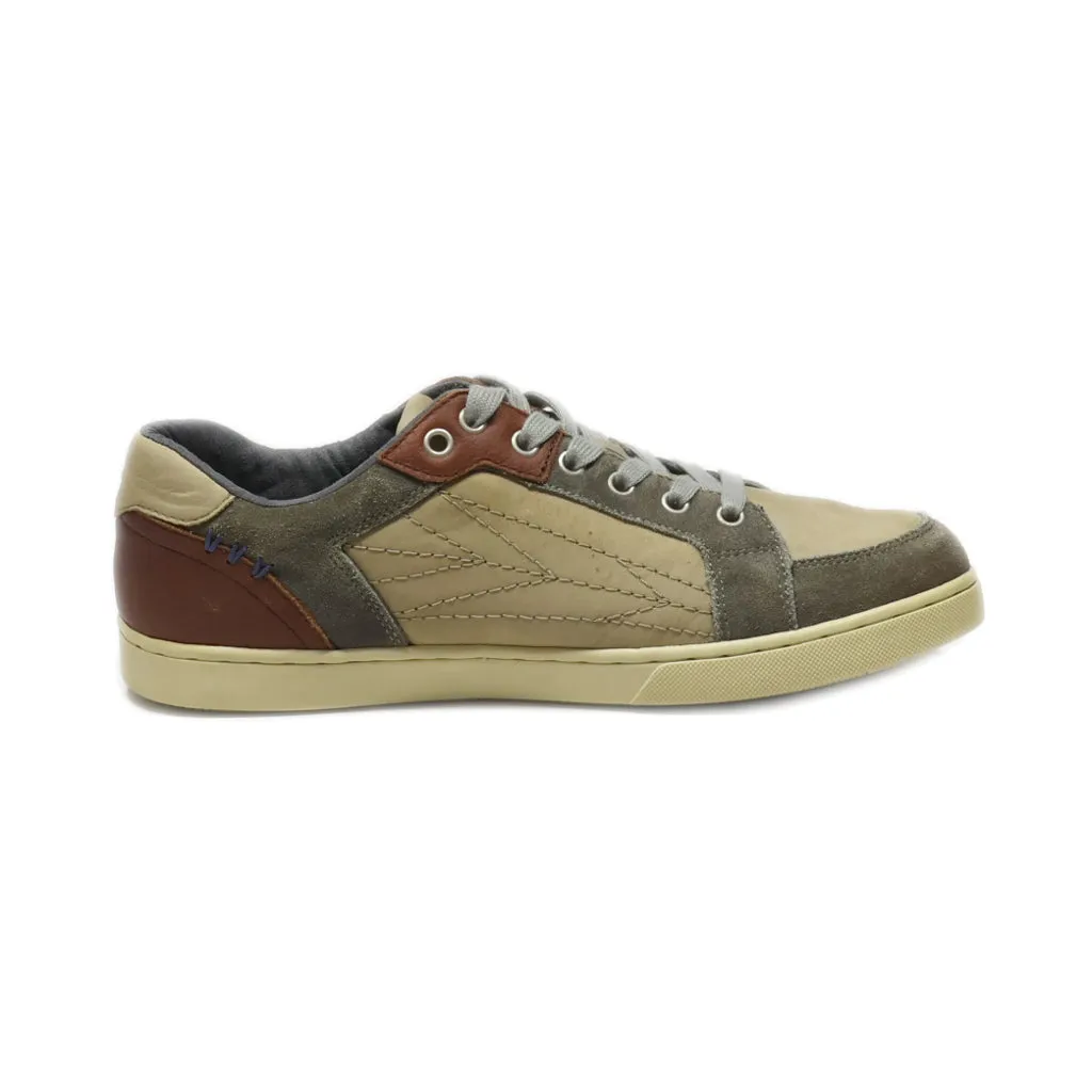 Camp David Casual Lace Ups Leather Brown Colour For Men